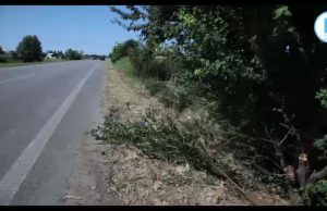 Carpenedolo, schianto mortale nel granoturco per un 19enne di Visano