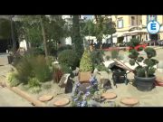 Fiorinsieme 2017, Piazza Loggia trasformata in un grande giardino