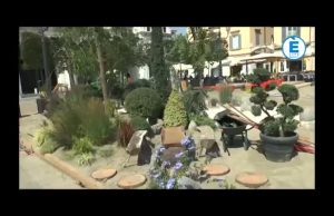 Fiorinsieme 2017, Piazza Loggia trasformata in un grande giardino