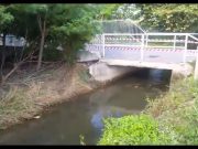 Manerbio, scooter nella roggia: muore Marco Ziliani di 49 anni