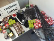 Bracconaggio: a Treviso Bresciano la Santa Barbara delle trappole