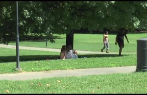 Lucifero, caldo e afa: come si difendono i bresciani?