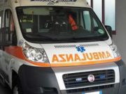 Flero, bimba sbranata dai due pitbull di famiglia