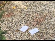 Bimba sbranata dai pitbull, lo sgomento dei vicini di casa