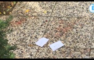 Bimba sbranata dai pitbull, lo sgomento dei vicini di casa