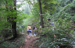 Maddalena, muore escursionista bresciano