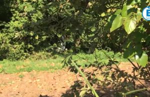 Identificato il cadavere trovato questa mattina in un fosso di San Polo; è un pensionato della zona