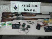 Bracconaggio, scacco matto della Forestale