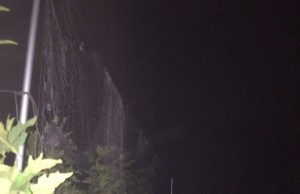 Forestale, bracconiere cade nella rete dei carabinieri