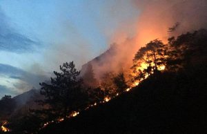 Pericolo incendi Brescia e Provincia