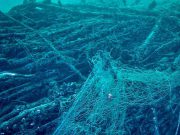 Lago d’Iseo: caccia aperta alle reti killer nel Sebino