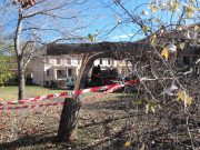 Atto vandalico a San Polo: tagliati due alberi con la motosega