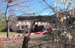 Atto vandalico a San Polo: tagliati due alberi con la motosega