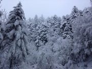 Neve e freddo nel weekend: Brescia si prepara al calo di temperature