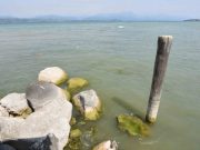 Allarme siccità nei bacini lombardi…ma il Garda per ora tiene