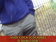 Caso droga-stazione: il centrodestra attacca il sindaco Del Bono