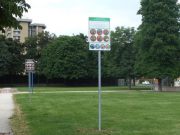 Gli chiedono un documento e presenta la condanna per spaccio di droga. Arrestato giovane gambiano