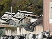 Selca: lo smaltimento dei rifiuti non sarà del curatore fallimentare