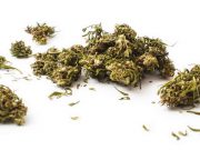 Brescia, “cannabis light” all’Agorà Caffè: legale e made in Italy