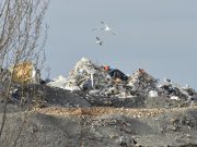 Valsabbia, discariche e disastro ambientale: “Lo sapevano da nove anni”