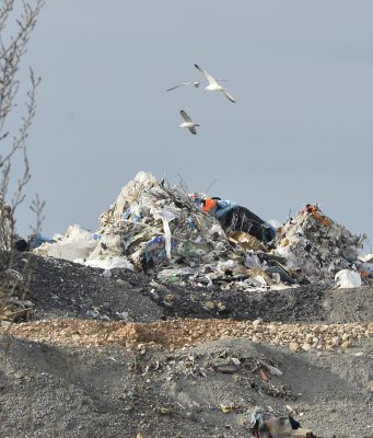 Valsabbia, discariche e disastro ambientale: “Lo sapevano da nove anni”