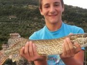 Tragedia di Natale a Villongo: muore un 15enne investito