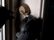 Ladri in casa a Rovato: svaligiata e messa a soqquadro una villetta