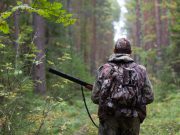 Caccia, la LAC esulta: “Il Tar annulla alcune parti del calendario venatorio” trasferta per la caccia