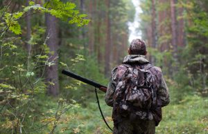 Via libera al nuovo regolamento sulla caccia trasferta per la caccia
