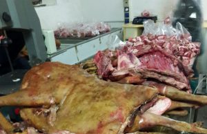 Roccafranca: centro abusivo di stoccaggio e sezionamento carni