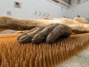 Meccaniche della Meraviglia 12, prolungata la visita all’installazione di Gabriele Picco.