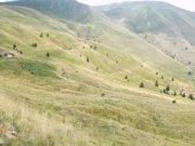 Centinaia di ettari in affitto per alpeggi mai esistiti: in tre nei guai