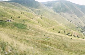 Centinaia di ettari in affitto per alpeggi mai esistiti: in tre nei guai