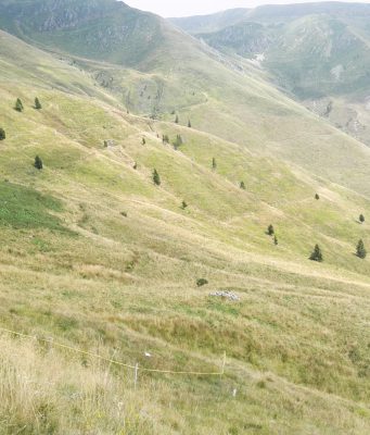 Centinaia di ettari in affitto per alpeggi mai esistiti: in tre nei guai