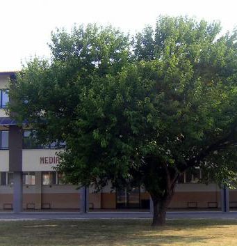 Vandali alle medie di Prevalle, imbrattati aule e corridoi