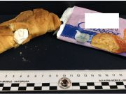 Cornetti “alla cocaina”. In manette un 38enne di Berlingo