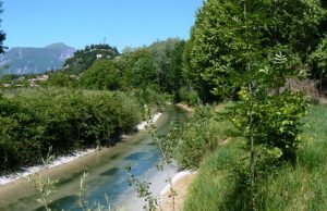 Epidemia di legionella: la causa è il degrado igienico del fiume Chiese