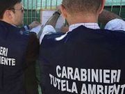 Il Noe sequestra un terreno a Gottolengo: scoperti penumatici sotterrati