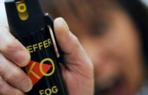 Spry al peperoncino in classe a Moniga: almeno 20 intossicati