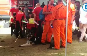 Ricerche di Iuschra: cani molecolari dall’Olanda a Cariadeghe