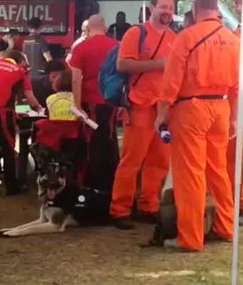 Ricerche di Iuschra: cani molecolari dall’Olanda a Cariadeghe