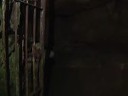 Serle, ecco come sono i cunicoli e le grotte in cui si potrebbe essere riparata o scivolata Iuschra