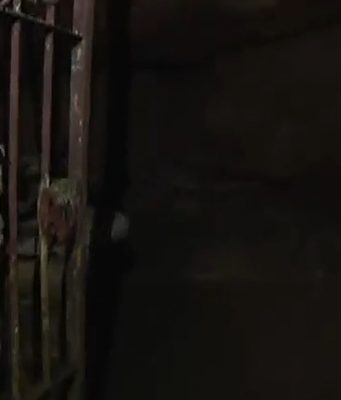 Serle, ecco come sono i cunicoli e le grotte in cui si potrebbe essere riparata o scivolata Iuschra