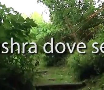 Iushra, torna la speranza: da domani riprendono le ricerche