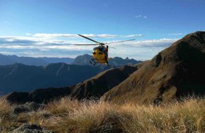 Escursionista travolto da una pianta, in azione l’elisoccorso