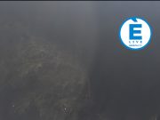 Maltempo, alberi sradicati in via dello Stadio e via Mazzini