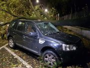 Maltempo, paura a Campo Marte, albero cade su un’auto. Nessun ferito