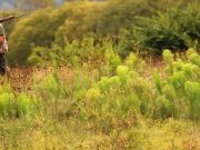 Esce a caccia con il figlio ma accidentalmente gli spara ad un piede