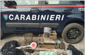 Bracconaggio: lotta continua dei Carabinieri del Nucleo Forestale
