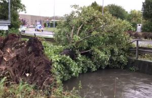 Maltempo, per Coldiretti nel bresciano oltre 1 milione di euro di danni